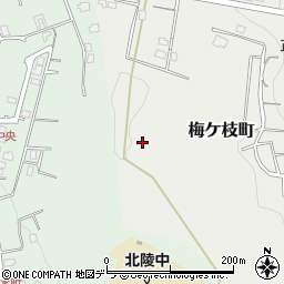 北海道小樽市梅ケ枝町18周辺の地図