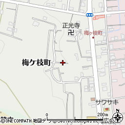 北海道小樽市梅ケ枝町周辺の地図