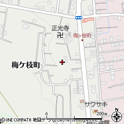 北海道小樽市梅ケ枝町21周辺の地図