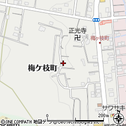 北海道小樽市梅ケ枝町20周辺の地図