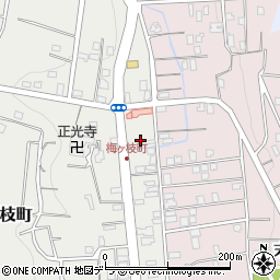 北海道小樽市梅ケ枝町24周辺の地図