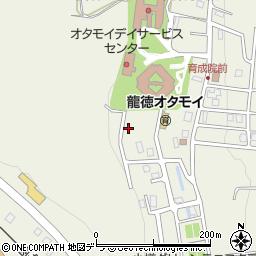 北海道小樽市オタモイ1丁目19-29周辺の地図