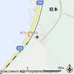 北海道根室市桂木181周辺の地図