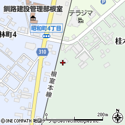 北海道根室市桂木63-35周辺の地図