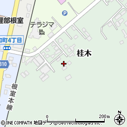 北海道根室市桂木134周辺の地図