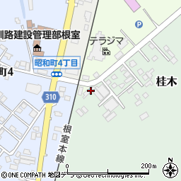 北海道根室市桂木63-3周辺の地図