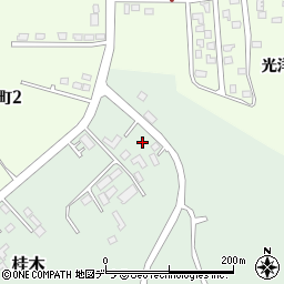 北海道根室市桂木61周辺の地図
