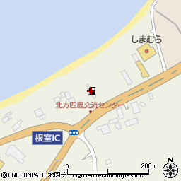 ＥＮＥＯＳセルフ根室ＳＳ周辺の地図