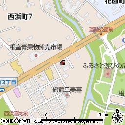 ａｐｏｌｌｏｓｔａｔｉｏｎ根室西浜ＳＳ周辺の地図