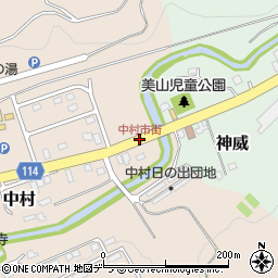 中村市街周辺の地図