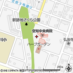 空知中央病院周辺の地図