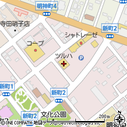 ツルハドラッグ滝川新町店周辺の地図