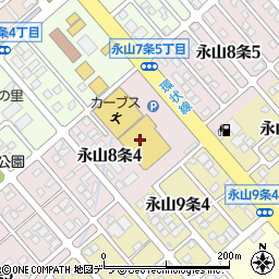 コメリホームセンター　永山店周辺の地図