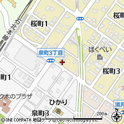 桜町たまゆらハイツ周辺の地図