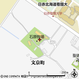北海道北見市文京町646周辺の地図