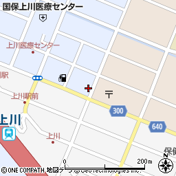 北海道上川郡上川町花園町532周辺の地図