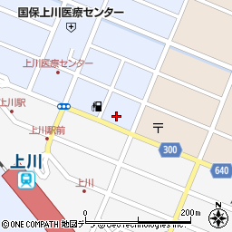 北海道上川郡上川町花園町529周辺の地図