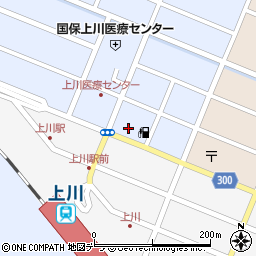 北海道上川郡上川町花園町524周辺の地図