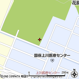 北海道上川郡上川町花園町28周辺の地図