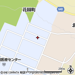 北海道上川郡上川町花園町193-6周辺の地図