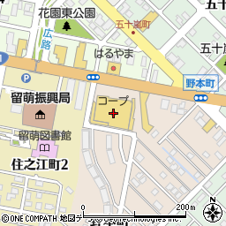 北海道留萌市野本町1周辺の地図