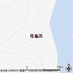 北海道目梨郡羅臼町化石浜周辺の地図