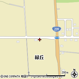 北海道名寄市緑丘73-4周辺の地図