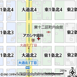 北海道名寄市大通北3丁目13周辺の地図