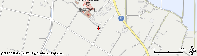 沖縄県石垣市新川2054-1周辺の地図