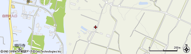 沖縄県石垣市大川1346周辺の地図