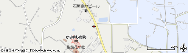 沖縄県石垣市新川2116周辺の地図