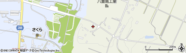 沖縄県石垣市大川1356周辺の地図