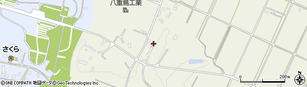 沖縄県石垣市大川1368周辺の地図