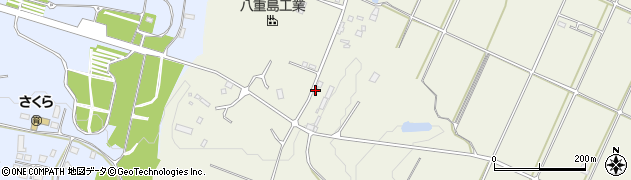 沖縄県石垣市大川1367周辺の地図