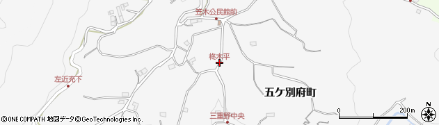 柊木平周辺の地図