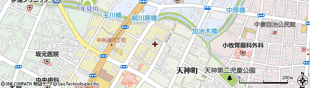 宮崎県都城市中町11周辺の地図
