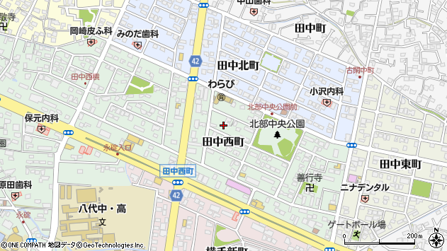 〒866-0876 熊本県八代市田中西町の地図
