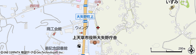 熊本県上天草市大矢野町登立8862周辺の地図
