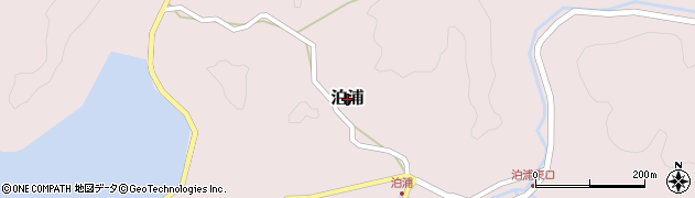 高知県大月町（幡多郡）泊浦周辺の地図