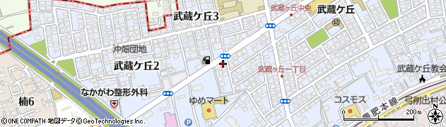 ピザポケット武蔵ケ丘店周辺の地図