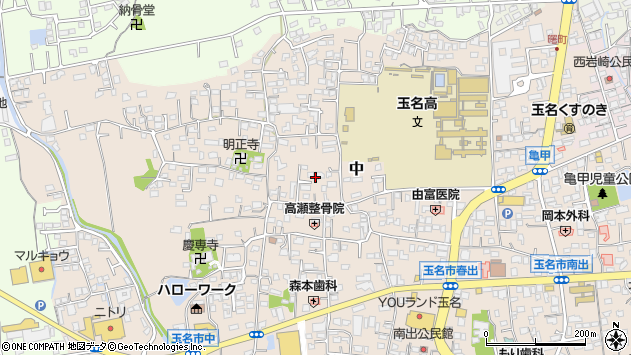 〒865-0064 熊本県玉名市中の地図