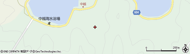 大分県佐伯市鶴見大字中越浦217周辺の地図