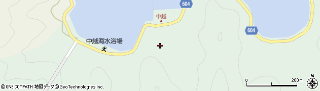 大分県佐伯市鶴見大字中越浦152周辺の地図