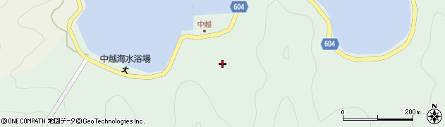 大分県佐伯市鶴見大字中越浦192周辺の地図