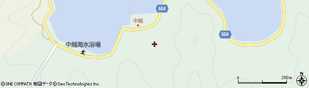 大分県佐伯市鶴見大字中越浦244周辺の地図