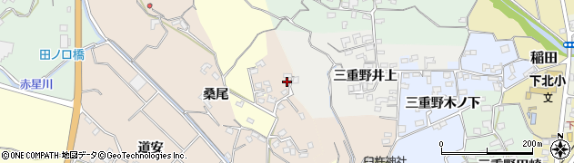 大分県臼杵市井村237周辺の地図