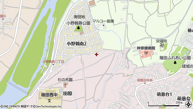 〒870-1156 大分県大分市小野鶴新町の地図