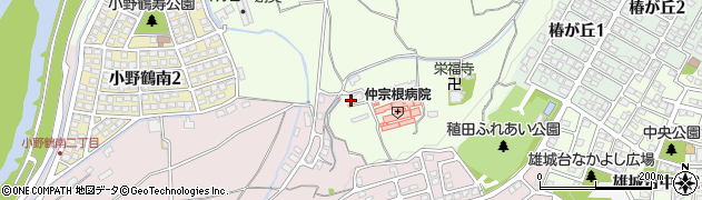 大分県大分市小野鶴1329周辺の地図