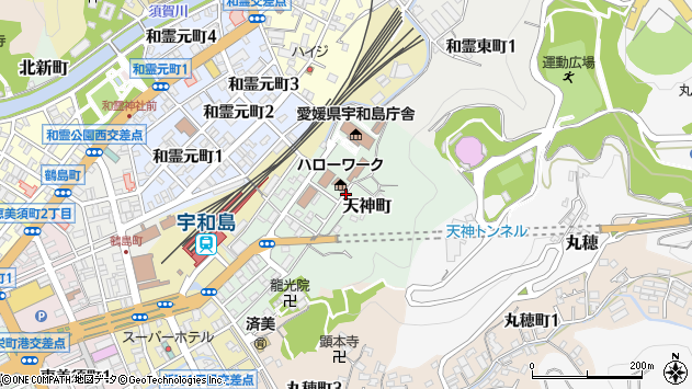 〒798-0036 愛媛県宇和島市天神町の地図