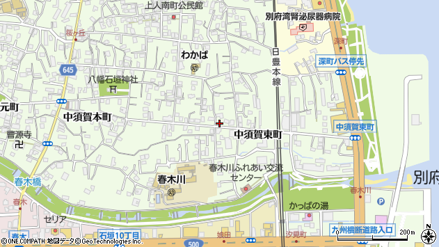 〒874-0917 大分県別府市中須賀東町の地図